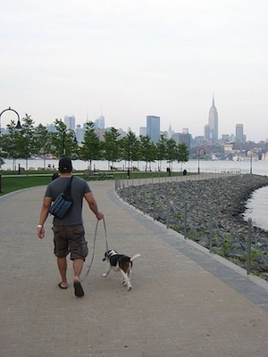 Bailey and his forever dad